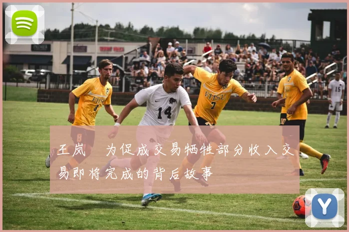 王岚嵚为促成交易牺牲部分收入交易即将完成的背后故事
